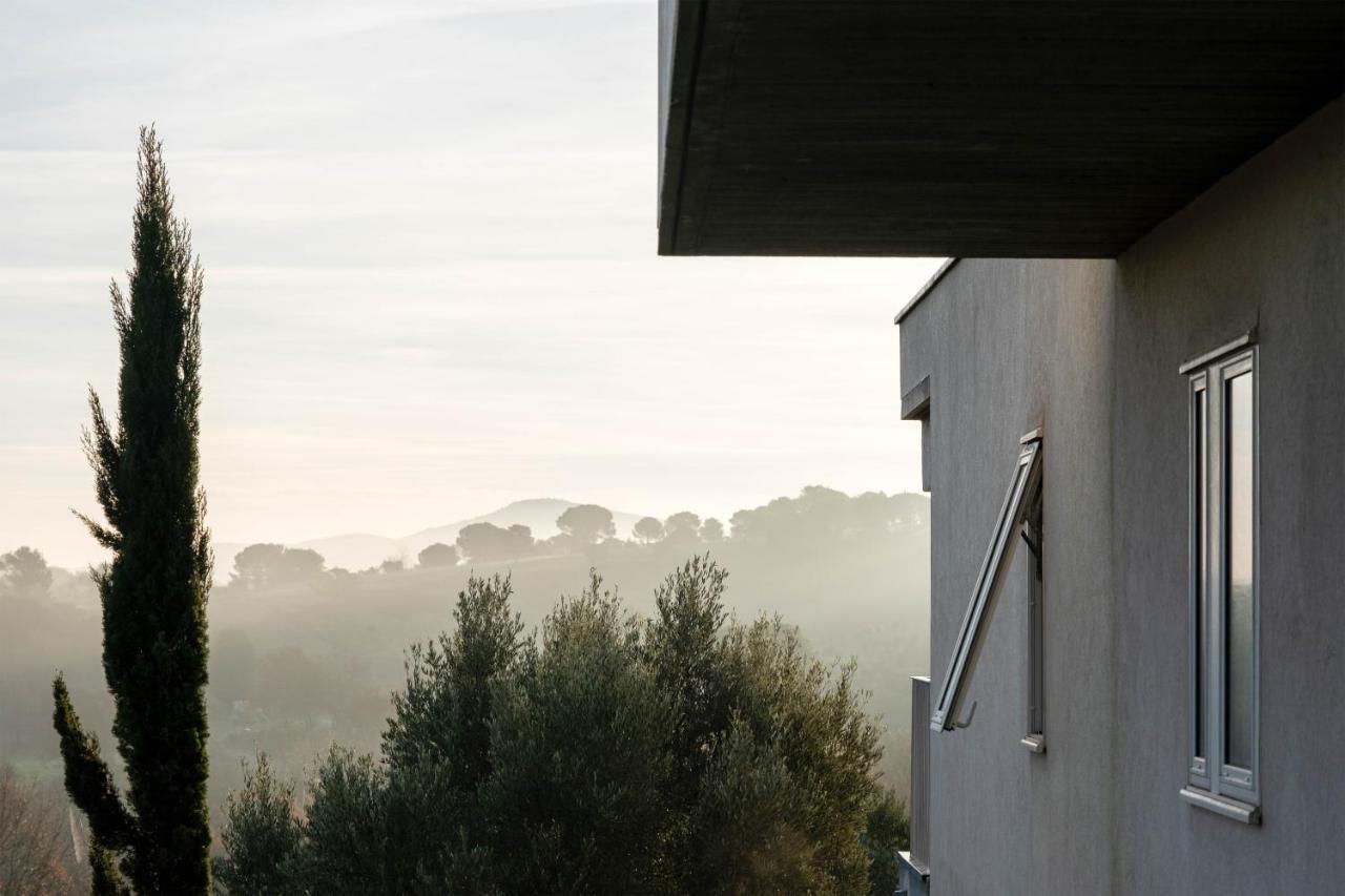 Villa Des Cathares Carcassonne Exteriér fotografie