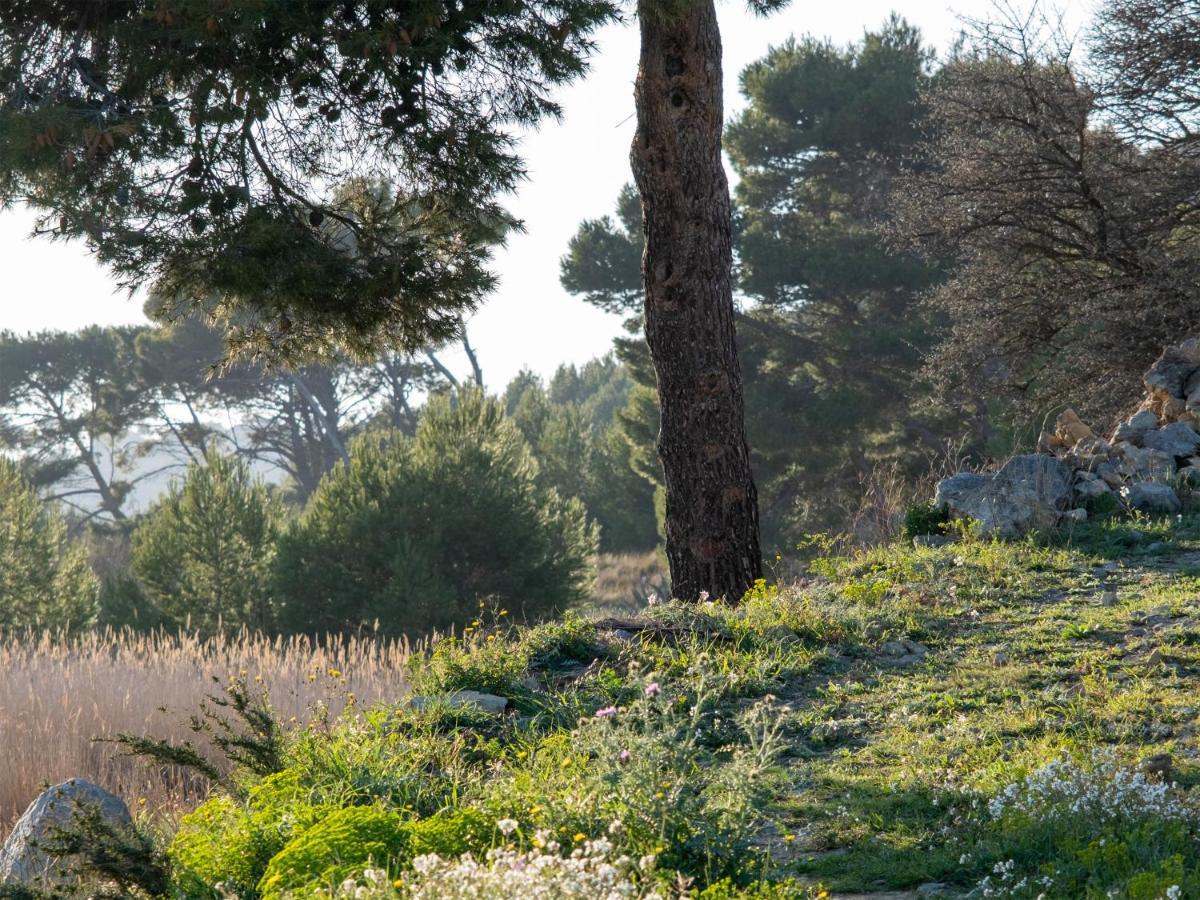 Villa Des Cathares Carcassonne Exteriér fotografie