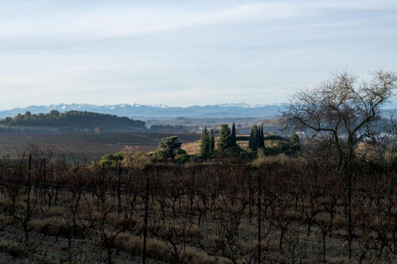 Villa Des Cathares Carcassonne Exteriér fotografie