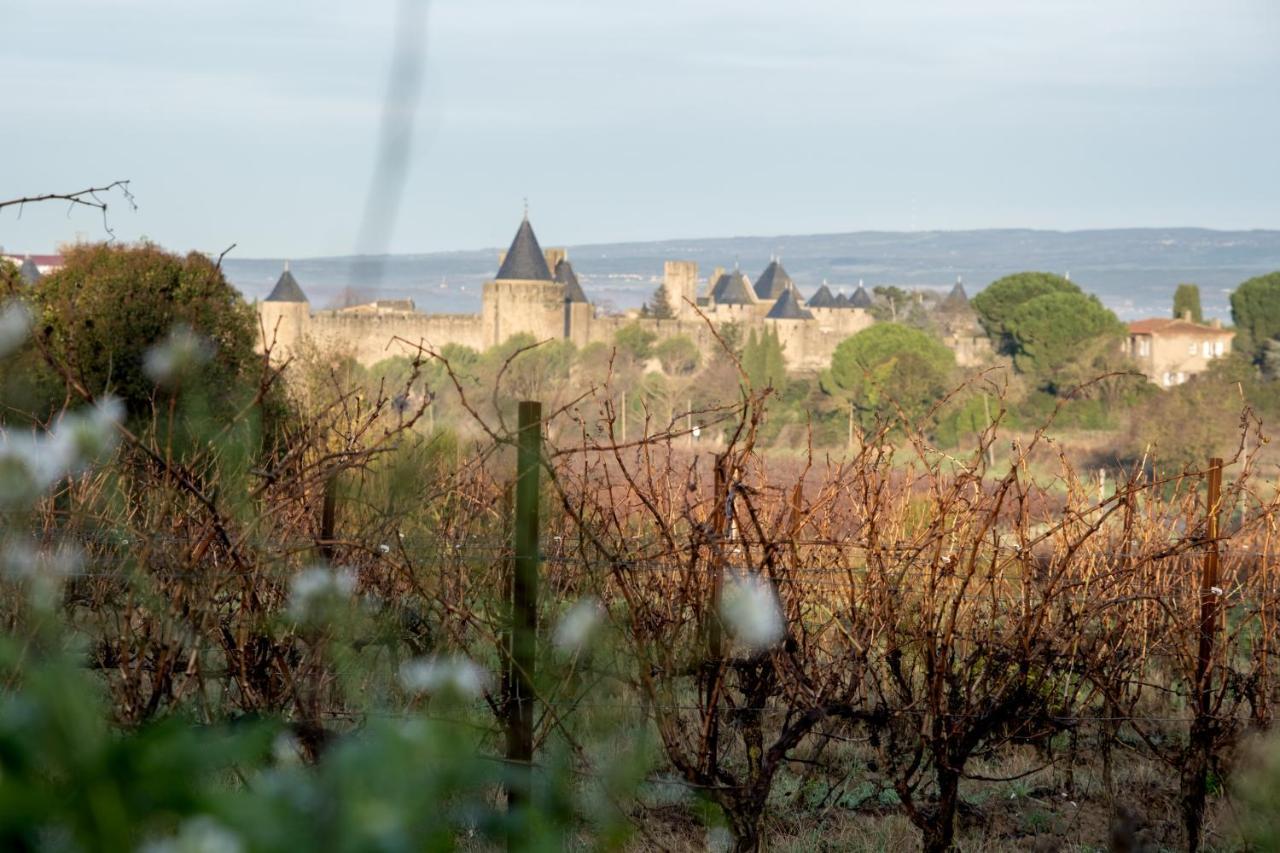 Villa Des Cathares Carcassonne Exteriér fotografie